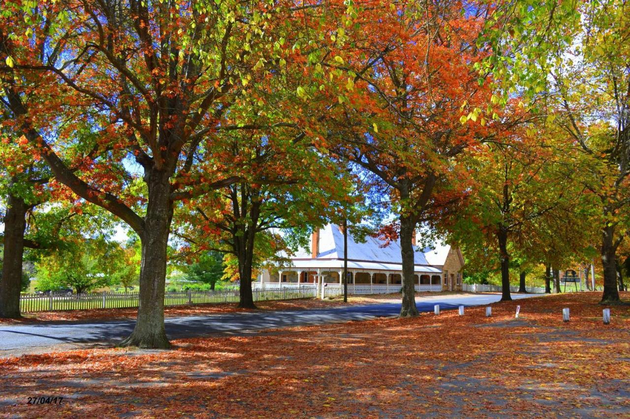 Settlers Motor Inn Tenterfield Eksteriør billede